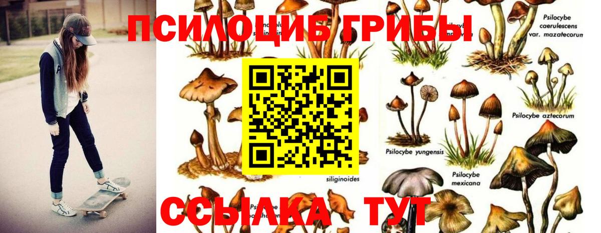 Галлюциногенные грибы прущие грибы Киреевск